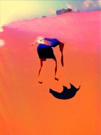 shell-seeker