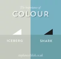 The Importance of Colour