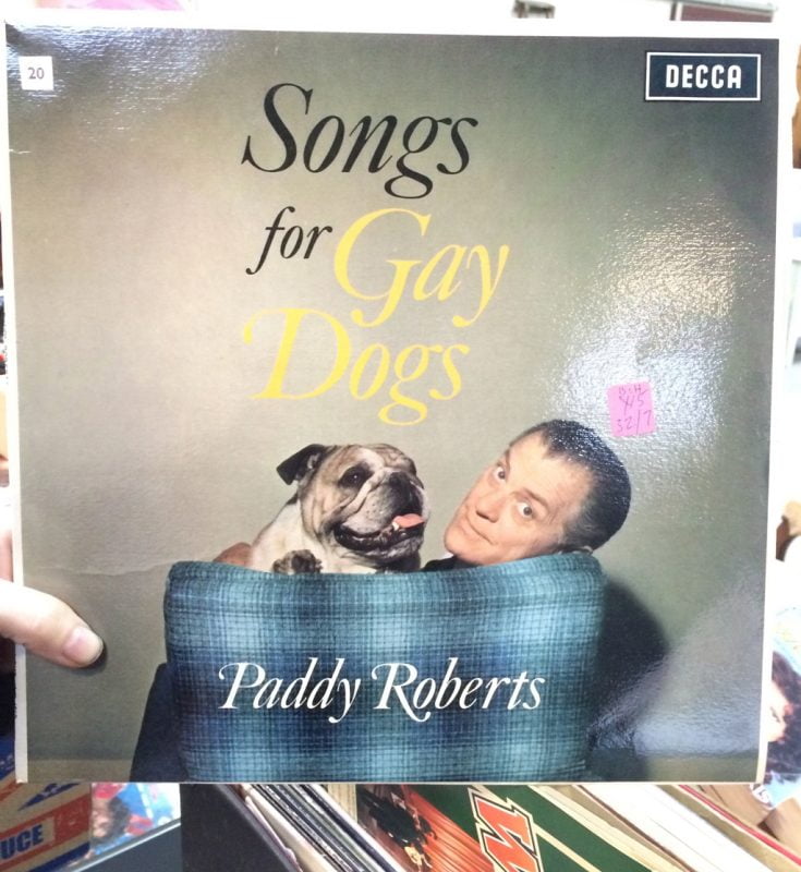 Song For Gay Dogs